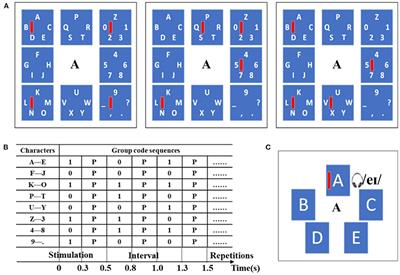 A novel brain-computer interface based on audio-assisted visual evoked EEG and spatial-temporal attention CNN